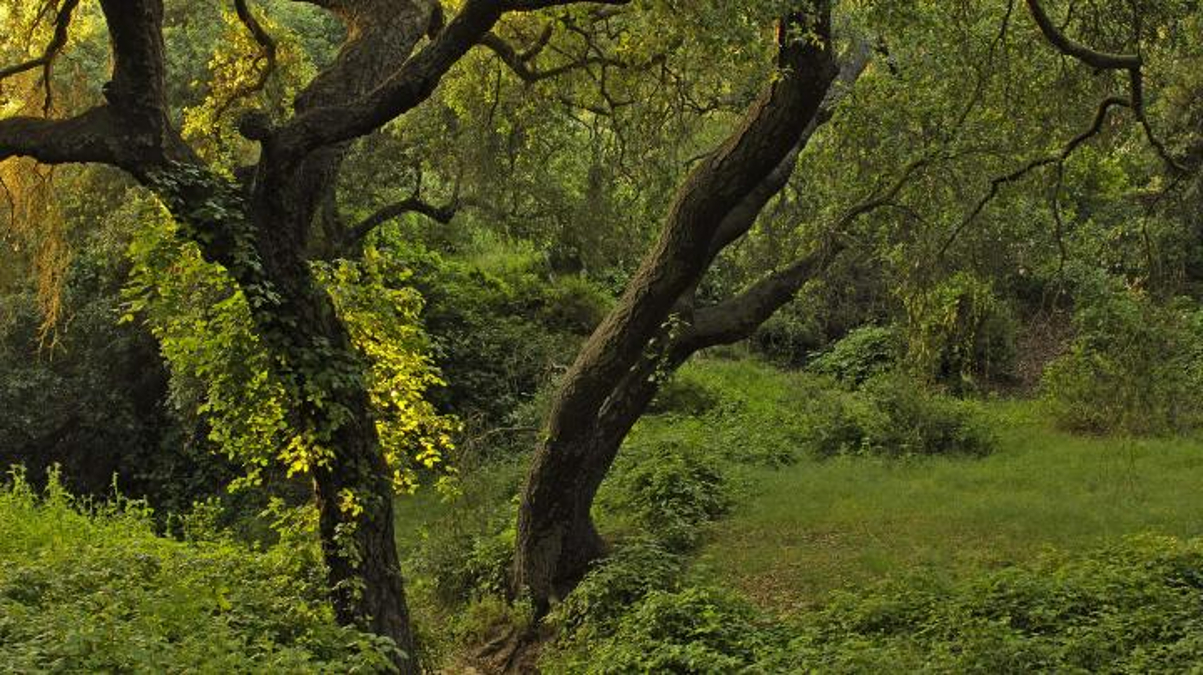 August 23: Baker Meadow Stewardship Day