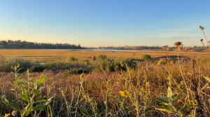 OC Parks Leading Guided Mindful Nature Walk On Sept. 20