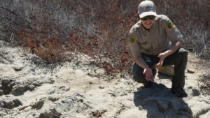 OC Parks: Fossils of the Ancient Sea Floor