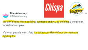 Santa Ana: Parent Org Of VietRise, ChispaOC, Wants An “End To Policing”