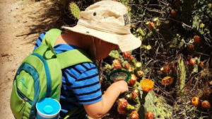 Free “Wild Tales” Program For Kids Every Friday at Upper Newport Bay Nature Preserve