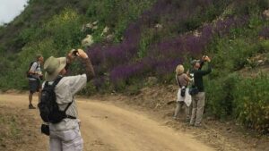 Aliso and Wood Canyons Wilderness Park Discovery Hike On June 30