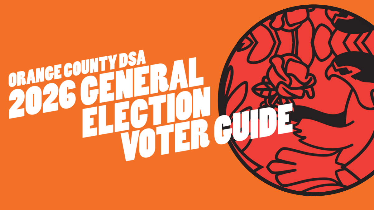 Who Are The Democratic Socialists of America Supporting In Orange County Local Elections?