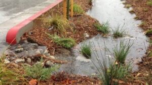 OCTA Approves $3.9 Million for Clean Water Projects