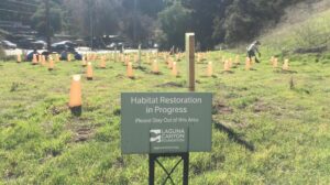 Volunteers Sought for Habitat Restoration at Aliso and Wood Canyons Wilderness Park