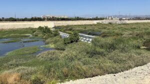 OCWD Named Sustainable Government of the Year by Sustain SoCal