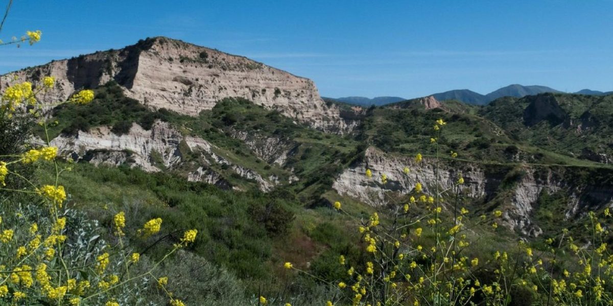 Invasive Plant Removal at Agua Chinon