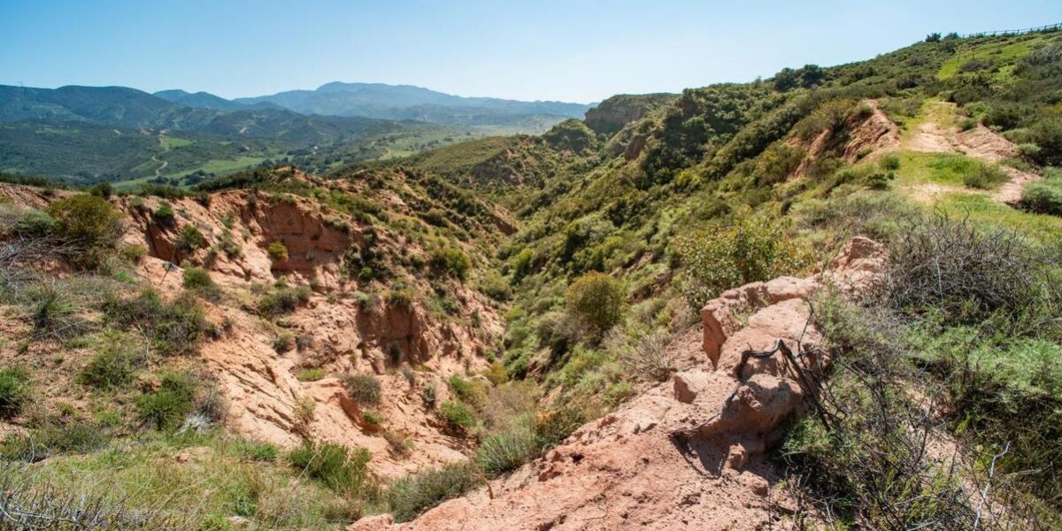 Red Rock(3) (1)