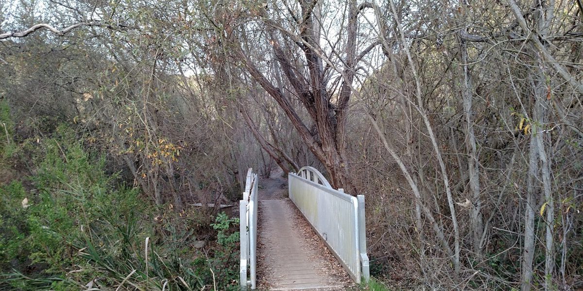 buck-gully-footbridge
