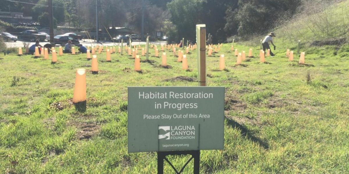 restoration-sign-1280x720 (1)